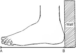 Measure Foot Length